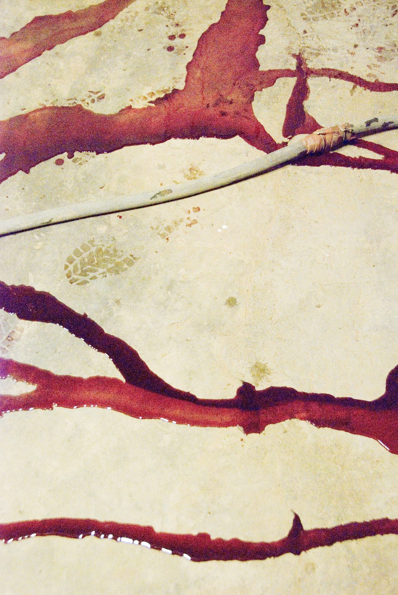 Death of a Springbok, Bokpost & Philippolis collection